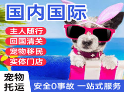 白云机场邮寄国际宠物托运 【国